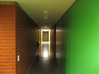 langer Flur, am Ende eine Tür. Die Wand rechts ist Grün, die Wand rechts sind Mauersteine 