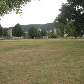 Ein großer Rasenplatz, im Hintergrund ein Fussballtor
