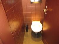 weiße Toilette in deckenhoch gefliesten Raum mit kupferfarbigen Anstrich