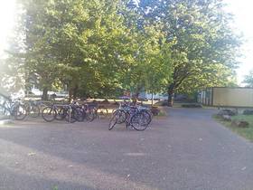 Asphaltierter Weg führt in Grünanlage mit mehreren Universitätsgebäuden. Im Vordergrund stehen mehrere Fahrräder.  