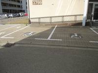Zwei  Behindertenparkplätze mit Bodenmarkierung und großem Rollstuhl-Symbol