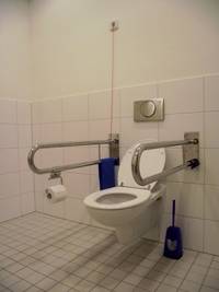 WC-Sitz mit Haltegriffen und Notruf-Seil, rechte Seite