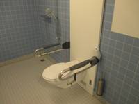 Behindertentoilette mit Handgriffen rechts und links, dahinter ist die Dusche mit Duschbereich und einer Handbrause an einer senkrechten Stange und Bedienarmatur