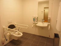 links Hängetoilette mit Haltegriffe rechts und links, Spülung hinter der Toilette an der Wand, Toilettenpapier an den Griffen, vorne ist ein Waschbecken mit Spiegel und Haltegriffe rechts und links, Seifenspender rechts und links, der Boden ist schwarz gefliest, die Wände weiß gekachelt