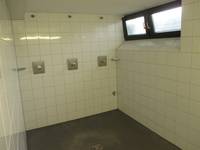 Duschraum mit dunklem Boden und weiß gekachelten Wänden. An der Rückwand sind 3 Duschplätze, an der rechten Wand in Kopfhöhe Fenster