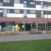 mehrstöckiges Gebäude mit Ladenfront im Erdgeschoss. Weg führt zum Gebäude, links am Gebäude steht eine gelbe Bärenskulptur, Pflanzen, eine Bank und Fahrräder