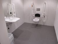 Raum mit einem Toilettensitz und Haltegriffen an der gegenüberliegenden Wand an der Wand links ist ein Waschbecken mit einem hochgeklappten Haltegriff und einem Spiegel, der Boden ist dunkler als die Wände 