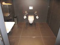 weißes Hänge-WC in einem dunkel gekachelten Raum, zwei Haltegriffe mit jeweils einer Toilettenpapierrolle. Links an der Wand Waschbecken, rechts daneben Papierhandtuchspender