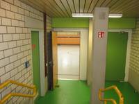 zwei nebeneinderliegende grüne Türen. Die linke Tür ist offen, dahinter Blick in die Sporthalle, links in der Wand eine weitere Tür