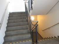 Eine Treppe mit Handläufen auf beiden Seiten, erste und letzte Treppenstufe jeweils an der Kante kontrastreich markiert