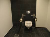 Weiße Behindertetoilette an einem schwarzen Wandbereich montiert. Links und rechts sind zwei doppelte Haltegriffe mit WC-Papierrollen. Hinter dem WC ist eine schwarze Rückenlehne angebracht, darüber befindet sich an der Wand die Drückerplatte zur Toilettenspülung.
