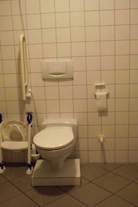 gegenüber von Eingangstür: Toilette mit Spülung hinter Sitz