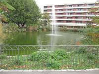 Ein Teich mit einer Wasserfontäne in der Mitte. Um den Teich herum ist Bepflanzung und ein verzierter Zaun. Im Hintergrund ein mehrstöckiges Gebäude 