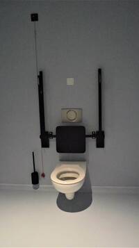 weiße Toilette an grauer Wand, Rückenlehne und Haltegriffe sind schwarz, Haltegriffe hochgeklappt. 