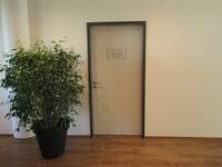 Eine helle Türe mit dunklem Rahmen in einer weißen Wand. Links neben der Tür steht eine Grünpflanze in einem großen Kübel.