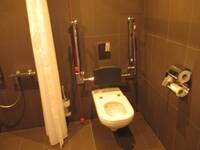 Eine weiße Toilette an einer dunkel gekachelten Wand mit Haltegriffe, links davon Dusche, abgetrennt mit einem Duschvorhang