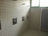 gekachelter Raum mit drei Duschplätzen; an der hinteren Wand Heizkörper
